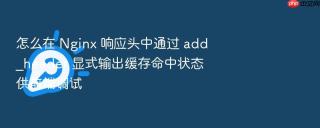 怎么在 nginx 响应头中通过 add_header 显式输出缓存命中状态供前端调试