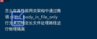 怎么在高性能网关架构中通过微调 client_body_in_file_only 行为来对特定长文件处理路径进行物理隔离