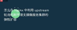 怎么在 nginx 中利用 upstream 轮询机制平滑支撑微服务集群的弹性扩容