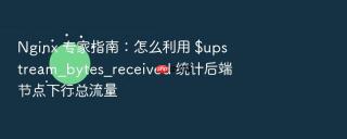 Nginx 专家指南：怎么利用 $upstream_bytes_received 统计后端节点下行总流量