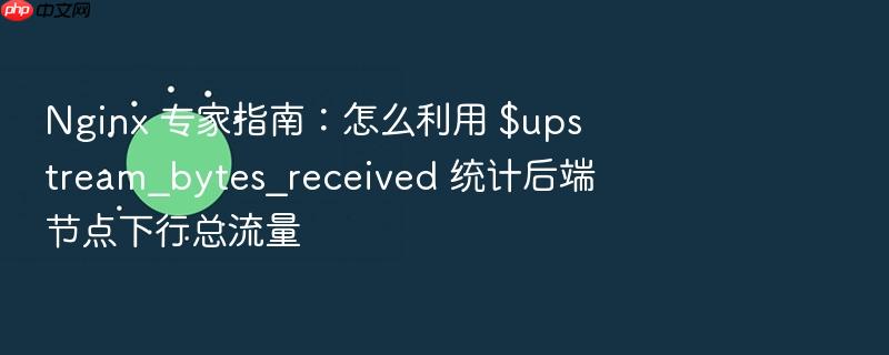 nginx 专家指南：怎么利用 $upstream_bytes_received 统计后端节点下行总流量