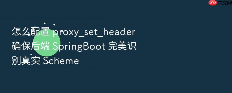 怎么配置 proxy_set_header 确保后端 springboot 完美识别真实 scheme