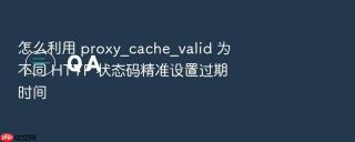 怎么利用 proxy_cache_valid 为不同 HTTP 状态码精准设置过期时间