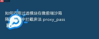 如何巧用过滤模块在微前端沙箱隔离机制中拦截非法 proxy_pass 篡改
