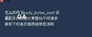 怎么利用 $body_bytes_sent 变量配合状态码计算整站不同请求路径下的高价值网络带宽消耗
