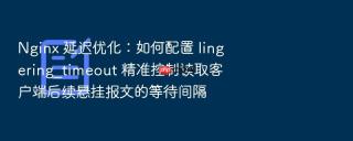 nginx 延迟优化：如何配置 lingering_timeout 精准控制读取客户端后续悬挂报文的等待间隔