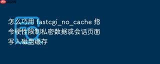 怎么巧用 fastcgi_no_cache 指令硬性限制私密数据或会话页面写入磁盘缓存