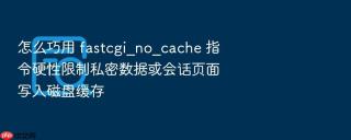 怎么巧用 fastcgi_no_cache 指令硬性限制私密数据或会话页面写入磁盘缓存