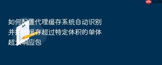如何配置代理缓存系统自动识别并拒绝缓存超过特定体积的单体超大响应包
