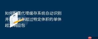 如何配置代理缓存系统自动识别并拒绝缓存超过特定体积的单体超大响应包