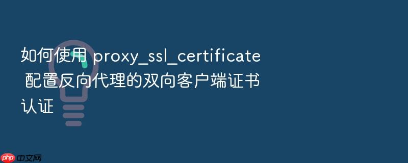 如何使用 proxy_ssl_certificate 配置反向代理的双向客户端证书认证