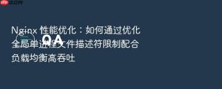 nginx 性能优化:如何通过优化全局单进程文件描述符限制配合负载均衡高吞吐