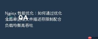 Nginx 性能优化：如何通过优化全局单进程文件描述符限制配合负载均衡高吞吐