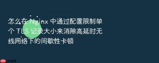 怎么在 nginx 中通过配置限制单个 tls 记录大小来消除高延时无线网络下的间歇性卡顿