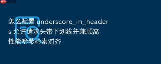 怎么配置 underscore_in_headers 允许请求头带下划线并兼顾高性能哈希检索对齐