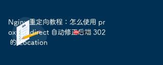 nginx 重定向教程:怎么使用 proxy_redirect 自动修正后端 302 的 location