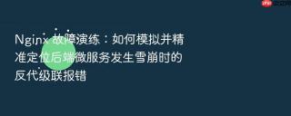 nginx 故障演练：如何模拟并精准定位后端微服务发生雪崩时的反代级联报错