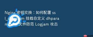 nginx 密钥交换:如何配置 ssl_dhparam 挂载自定义 dhparam.pem 文件防范 logjam 攻击