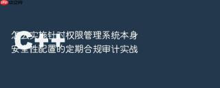 怎么实施针对权限管理系统本身安全性配置的定期合规审计实战
