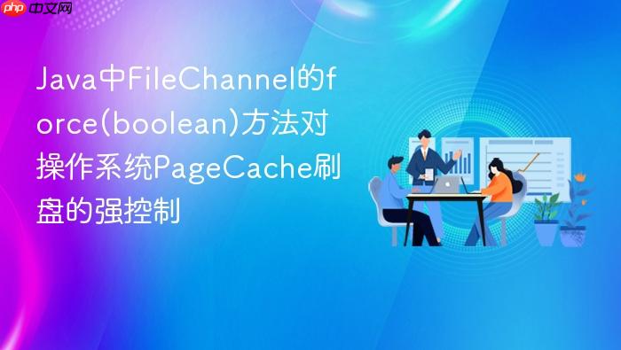 java中filechannel的force(boolean)方法对操作系统pagecache刷盘的强控制