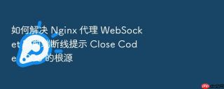 如何解决 nginx 代理 websocket 时前端断线提示 close code 1006 的根源