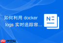 如何利用 docker logs 实时追踪容器 PID 1 进程的标准输出