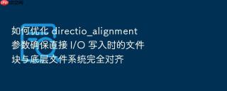 如何优化 directio_alignment 参数确保直接 i/o 写入时的文件块与底层文件系统完全对齐