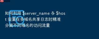 如何利用 $server_name 与 $host 变量在多域名共享日志时精准分离不同域名的访问流量