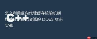 怎么利用反向代理缓存校验机制拦截针对静态资源的 DDoS 攻击实战