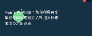 nginx 表单实战:如何利用共享缓存空间实现特定 api 报文秒级限流与熔断兜底