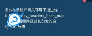怎么在多租户网关环境下通过优化配置 proxy_headers_hash_max_size 规避因路径过长引发的启动 500 故障