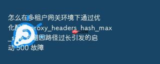 怎么在多租户网关环境下通过优化配置 proxy_headers_hash_max_size 规避因路径过长引发的启动 500 故障