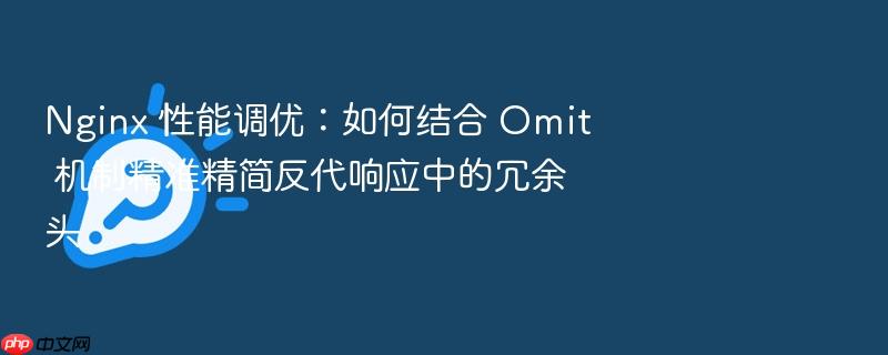 nginx 性能调优:如何结合 omit 机制精准精简反代响应中的冗余头