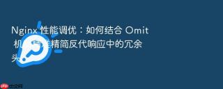 nginx 性能调优:如何结合 omit 机制精准精简反代响应中的冗余头