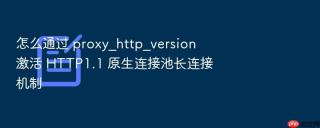 怎么通过 proxy_http_version 激活 HTTP1.1 原生连接池长连接机制