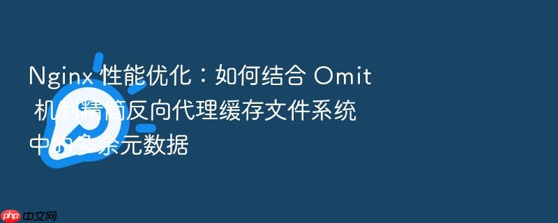 nginx 性能优化:如何结合 omit 机制精简反向代理缓存文件系统中的多余元数据