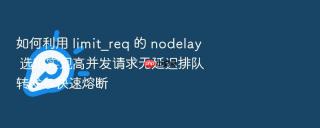 如何利用 limit_req 的 nodelay 选项实现高并发请求无延迟排队转发与快速熔断