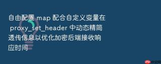 自由配置 map 配合自定义变量在 proxy_set_header 中动态精简透传信息以优化加密后端接收响应时间