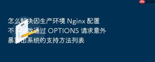 怎么解决因生产环境 Nginx 配置不当导致通过 OPTIONS 请求意外暴露出系统的支持方法列表