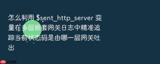 怎么利用 $sent_http_server 变量在多层嵌套网关日志中精准追踪当前状态码是由哪一层网关吐出