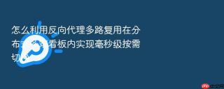 怎么利用反向代理多路复用在分布式多端看板内实现毫秒级按需切换