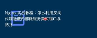 nginx 实战教程：怎么利用反向代理隐藏内部微服务真实端口与拓扑