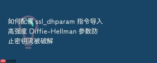 如何配置 ssl_dhparam 指令导入高强度 diffie-hellman 参数防止密钥流被破解