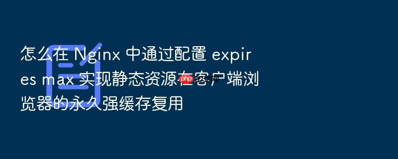 怎么在 nginx 中通过配置 expires max 实现静态资源在客户端浏览器的永久强缓存复用