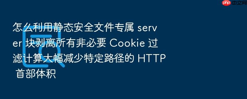 怎么利用静态安全文件专属 server 块剥离所有非必要 cookie 过滤计算大幅减少特定路径的 http 首部体积