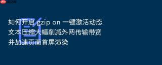 如何开启 gzip on 一键激活动态文本压缩大幅削减外网传输带宽并加速页面首屏渲染