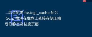 ...怎么配置 fastcgi_cache 配合 gzip 模块在磁盘上直接存储压缩后的静态高粘度页面