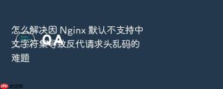 怎么解决因 nginx 默认不支持中文字符集导致反代请求头乱码的难题
