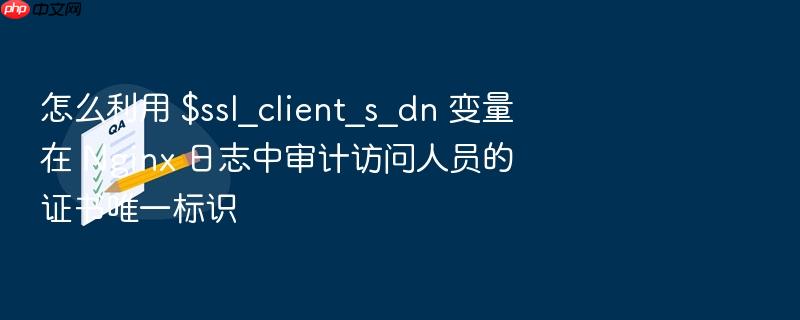 怎么利用 $ssl_client_s_dn 变量在 nginx 日志中审计访问人员的证书唯一标识