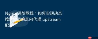 nginx 进阶教程：如何实现动态按需加载的反向代理 upstream 配置